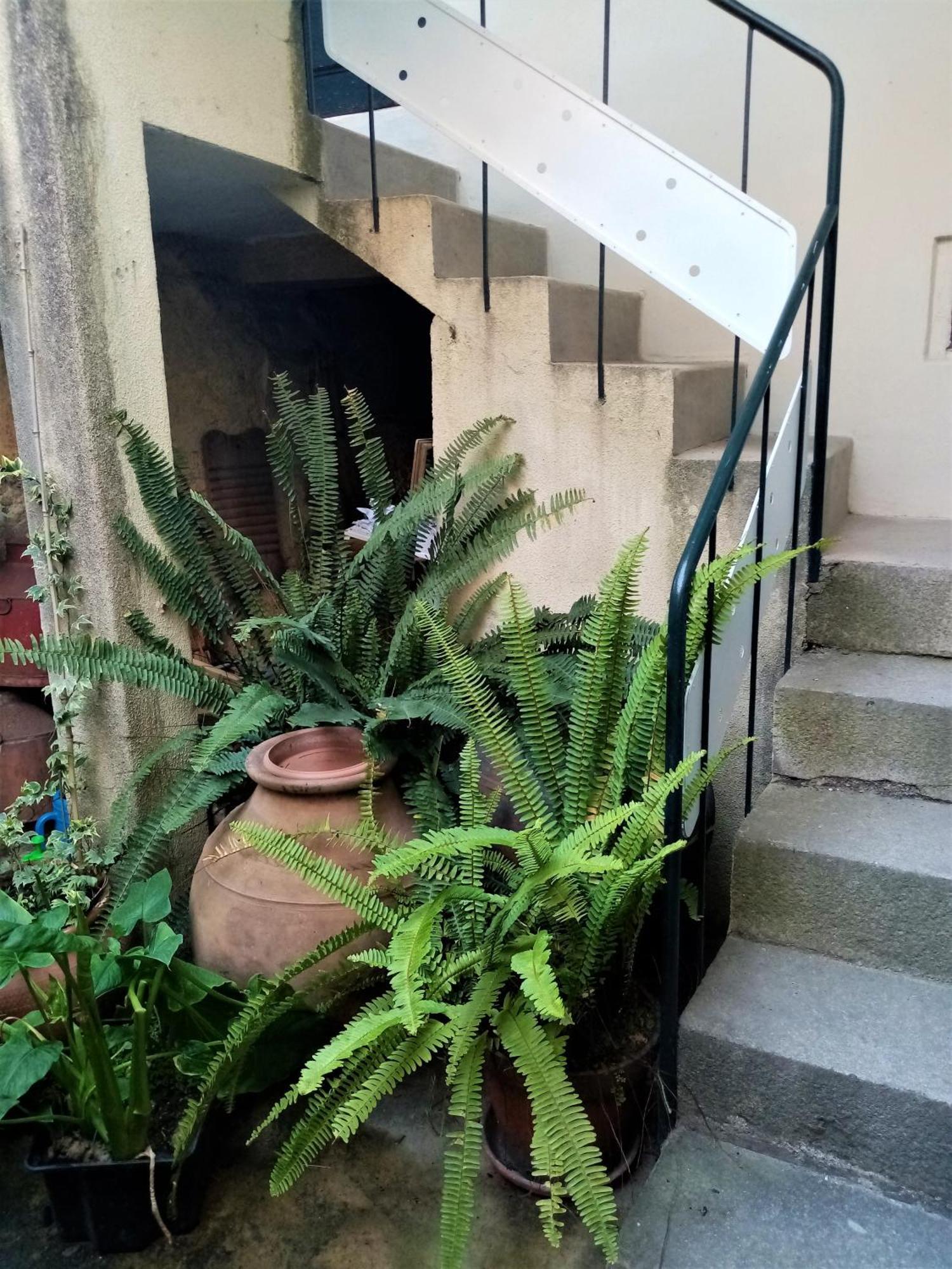 Apartmán Casa Da Judiaria Velha Ap Viseu Exteriér fotografie