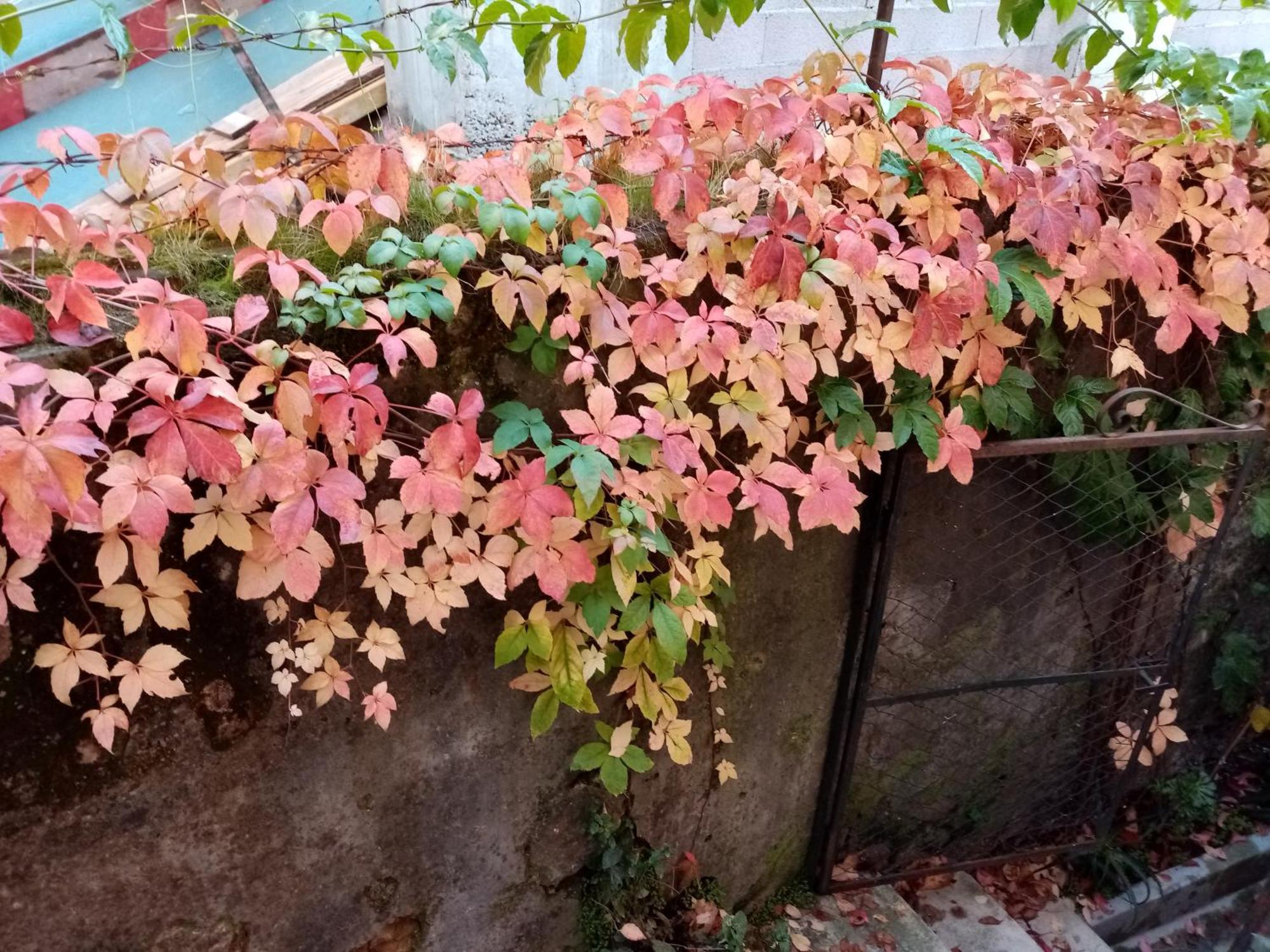 Apartmán Casa Da Judiaria Velha Ap Viseu Exteriér fotografie