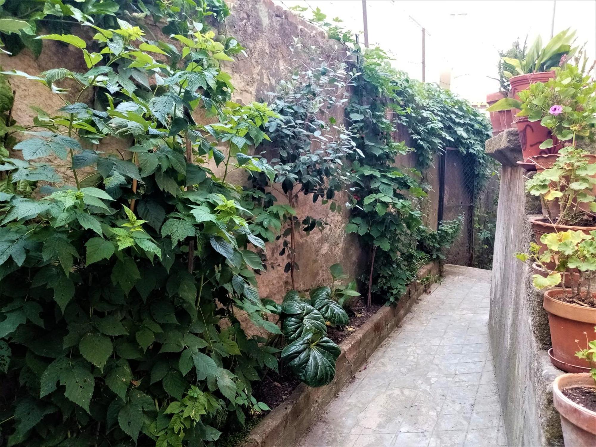 Apartmán Casa Da Judiaria Velha Ap Viseu Exteriér fotografie