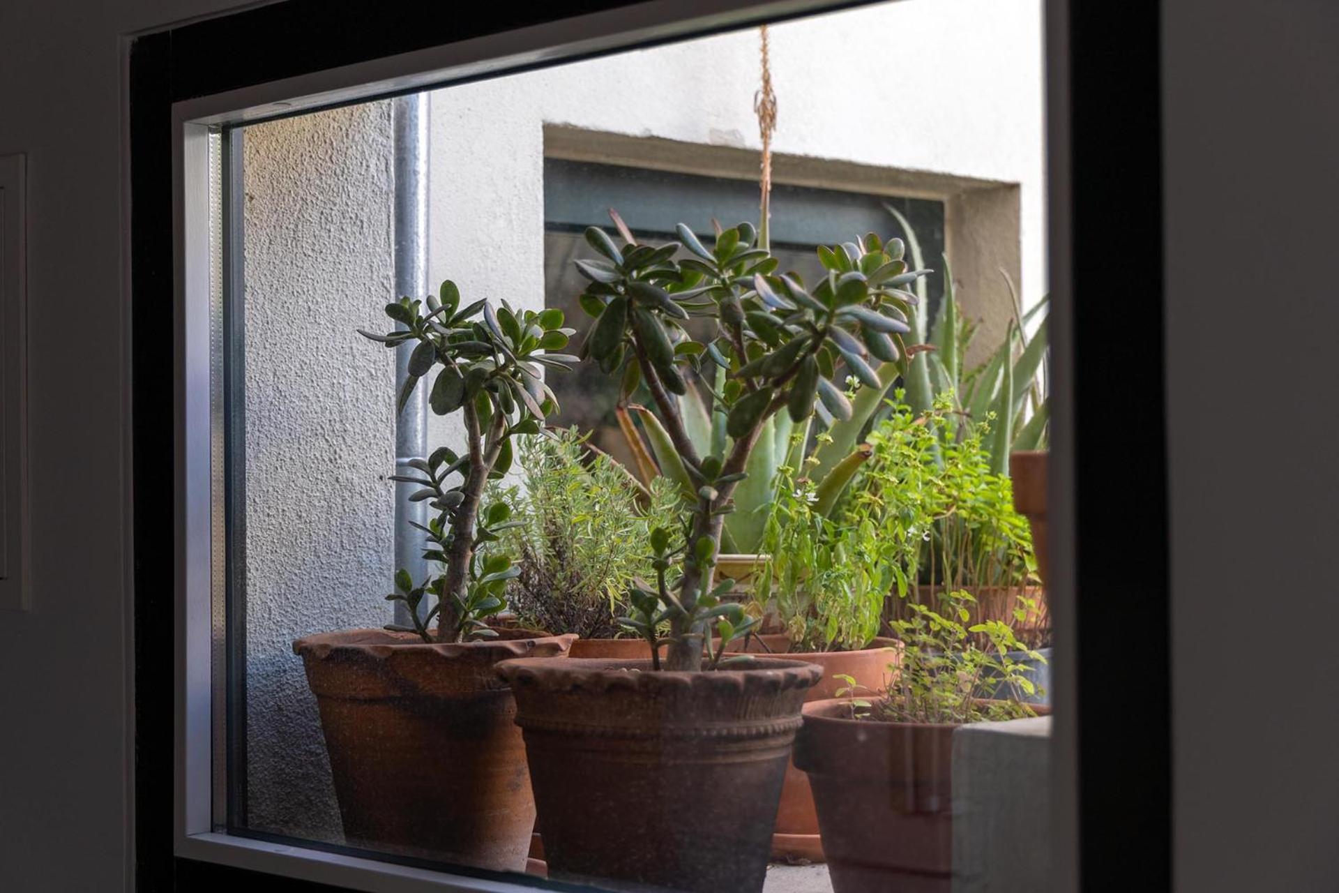 Apartmán Casa Da Judiaria Velha Ap Viseu Exteriér fotografie