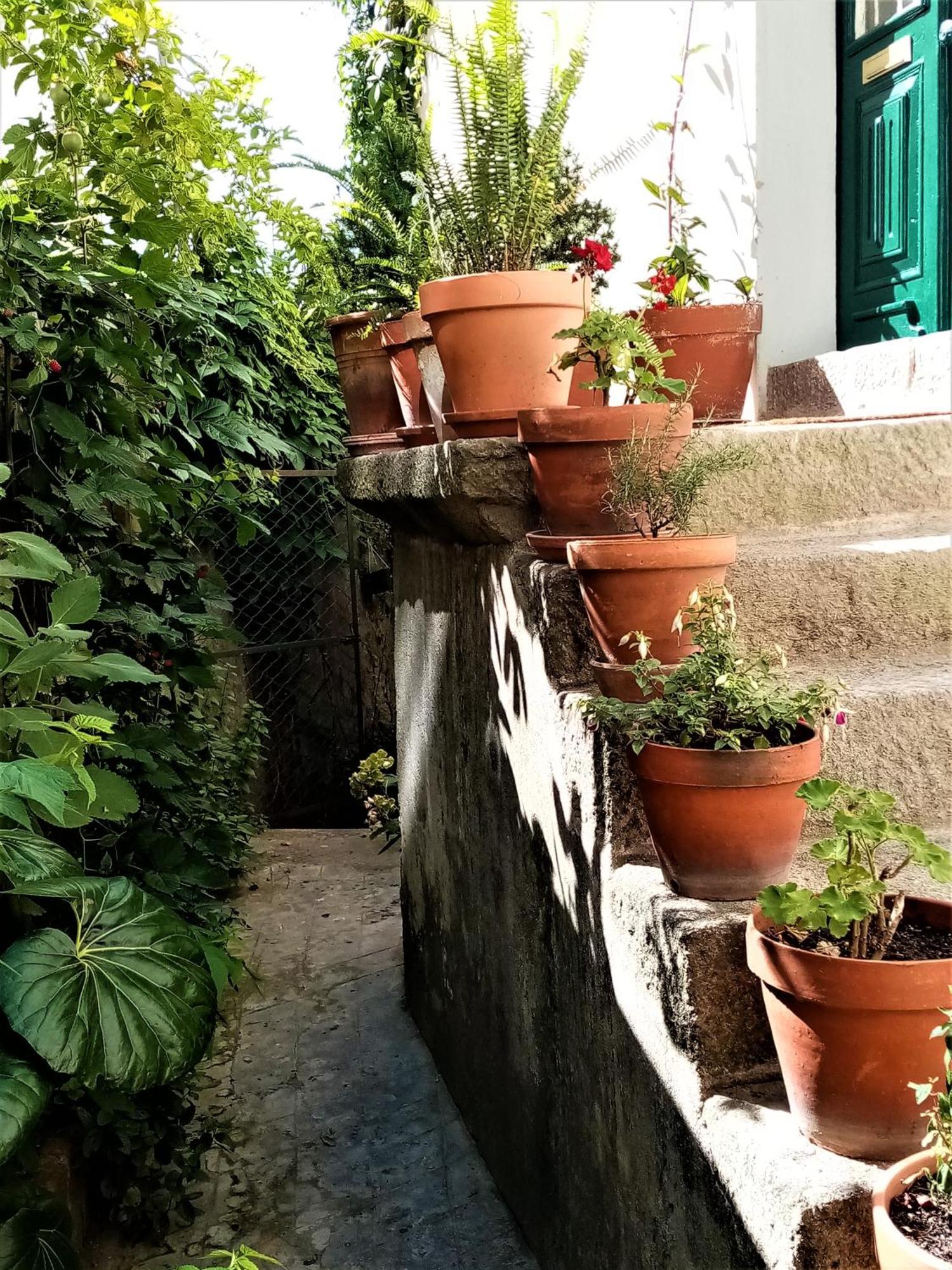 Apartmán Casa Da Judiaria Velha Ap Viseu Exteriér fotografie